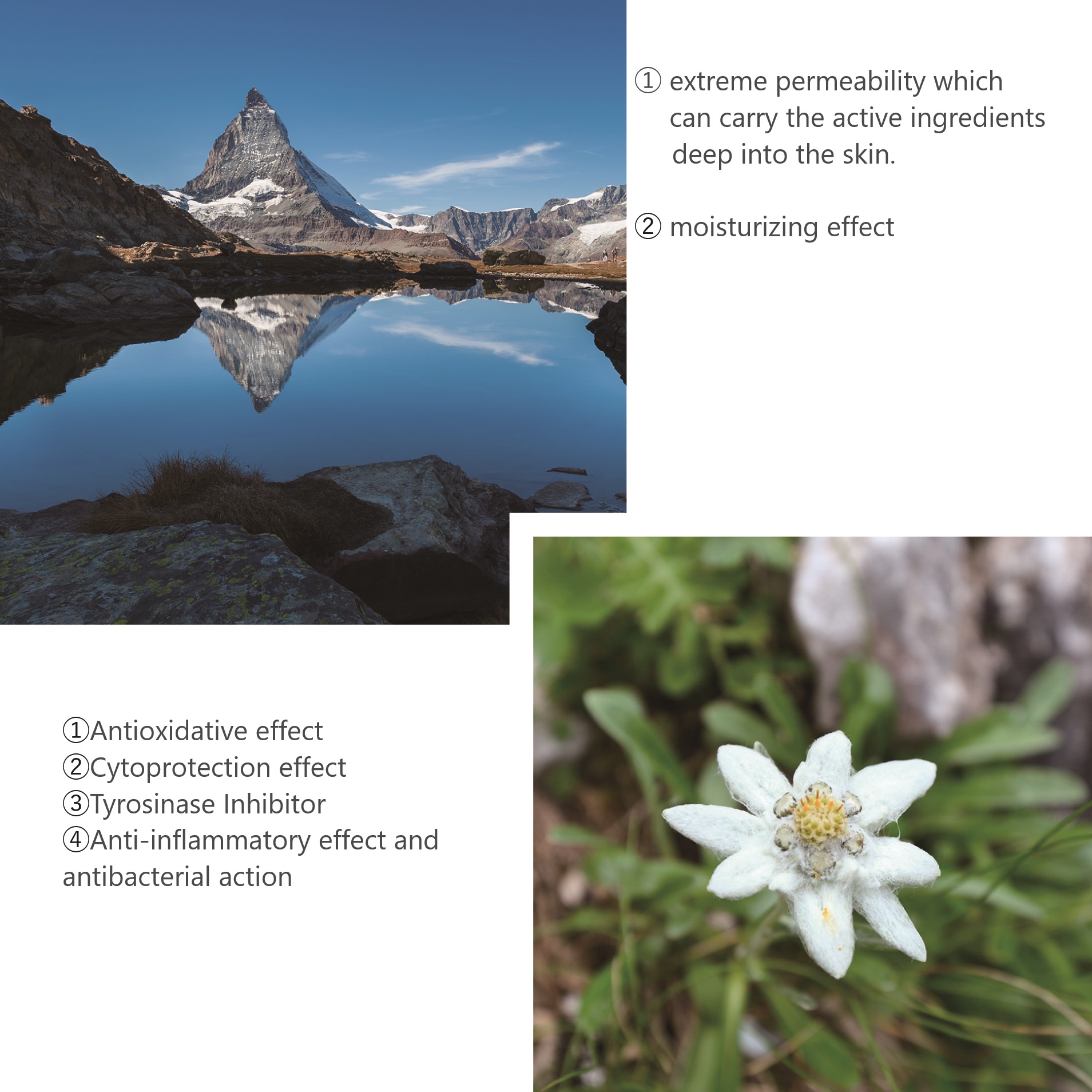 Popular Perfect Night Cream Skin Care Japan Beauty Products For Face 