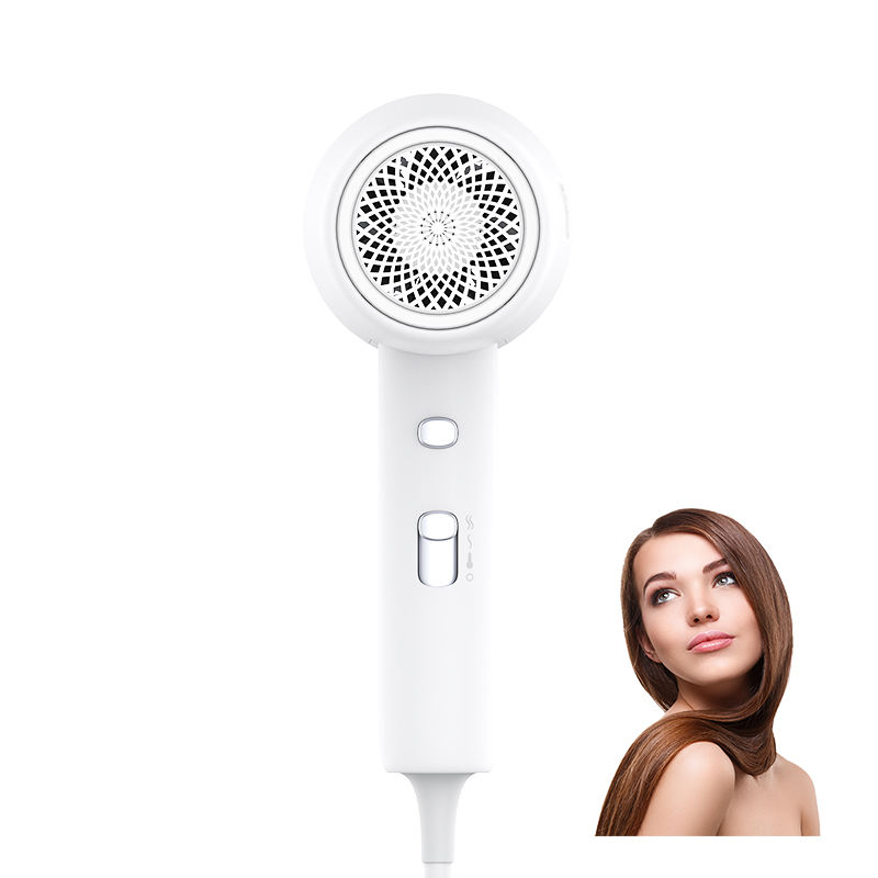 2023 Hot Sales Custom Hair Dryer Korea Ce Ul Certified Portable Straight Home Appliance Pet Electronic Hair Dryer 