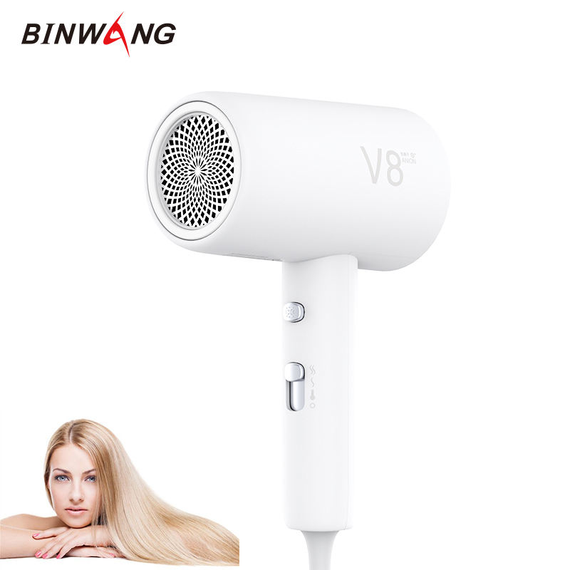 2023 Hot Sales Custom Hair Dryer Korea Ce Ul Certified Portable Straight Home Appliance Pet Electronic Hair Dryer 