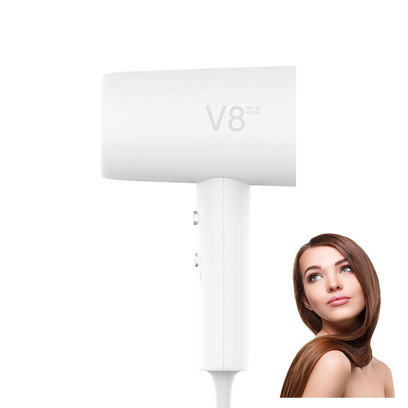 2023 Hot Sales Custom Hair Dryer Korea Ce Ul Certified Portable Straight Home Appliance Pet Electronic Hair Dryer 