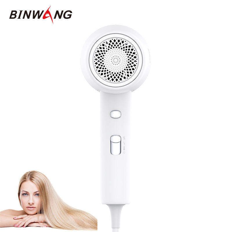 2023 Hot Sales Custom Hair Dryer Korea Ce Ul Certified Portable Straight Home Appliance Pet Electronic Hair Dryer 
