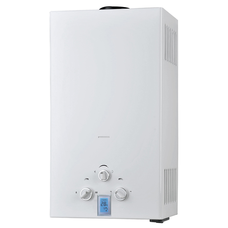 Home Appliance Open Stable Temperature Natural Boiler Flue Type Gas Water Heater 