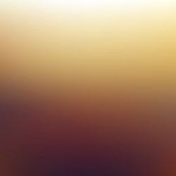 Top Quality No Tangle Customized Color Straight Beauty Products For Women Vietnamese Raw Hair Natural Hair 