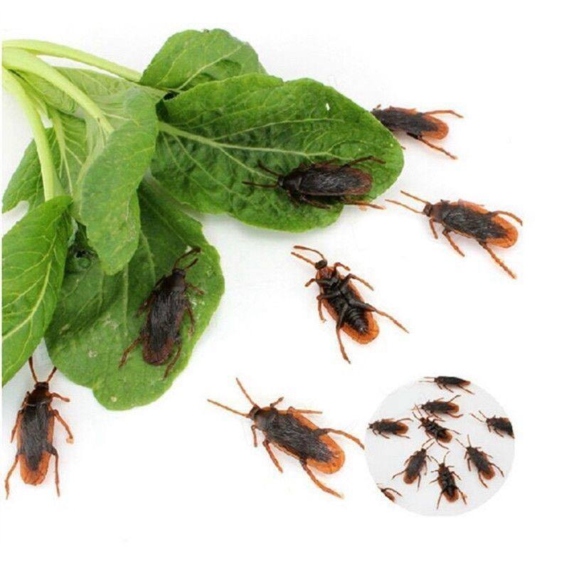12 Pcs Halloween Simulated Plastic Cockroaches Deceptive Props Toy Trick Decor