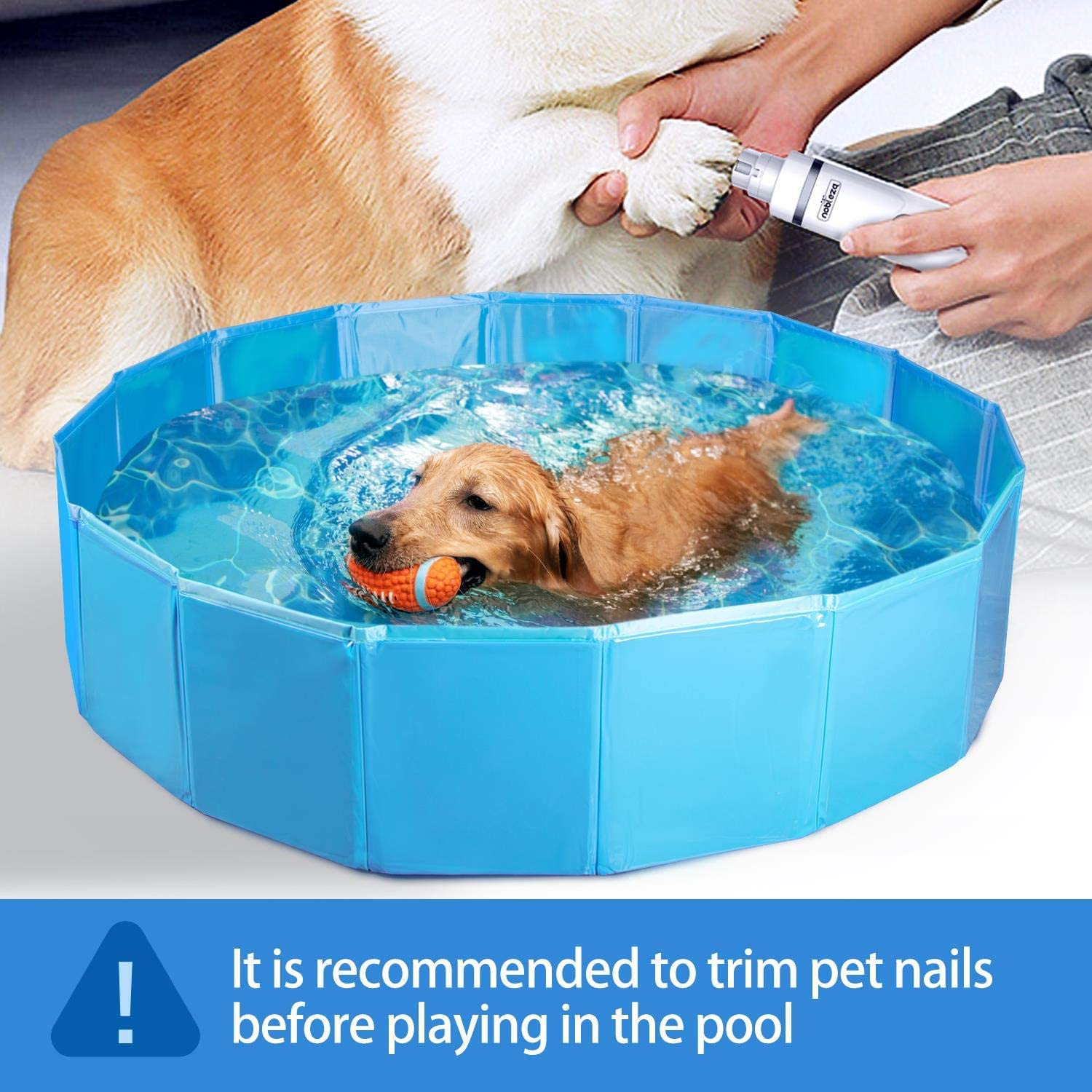 *SG seller* Kids Pet Foldable Swimming Pool Dogs Cats Bathing Tub Portable Bathtub Collapsible Water Pond Pool & Kiddie Pools for Kids Pet Spa Whelping Box Kiddies Pets to Swim and Bath in Outdoor