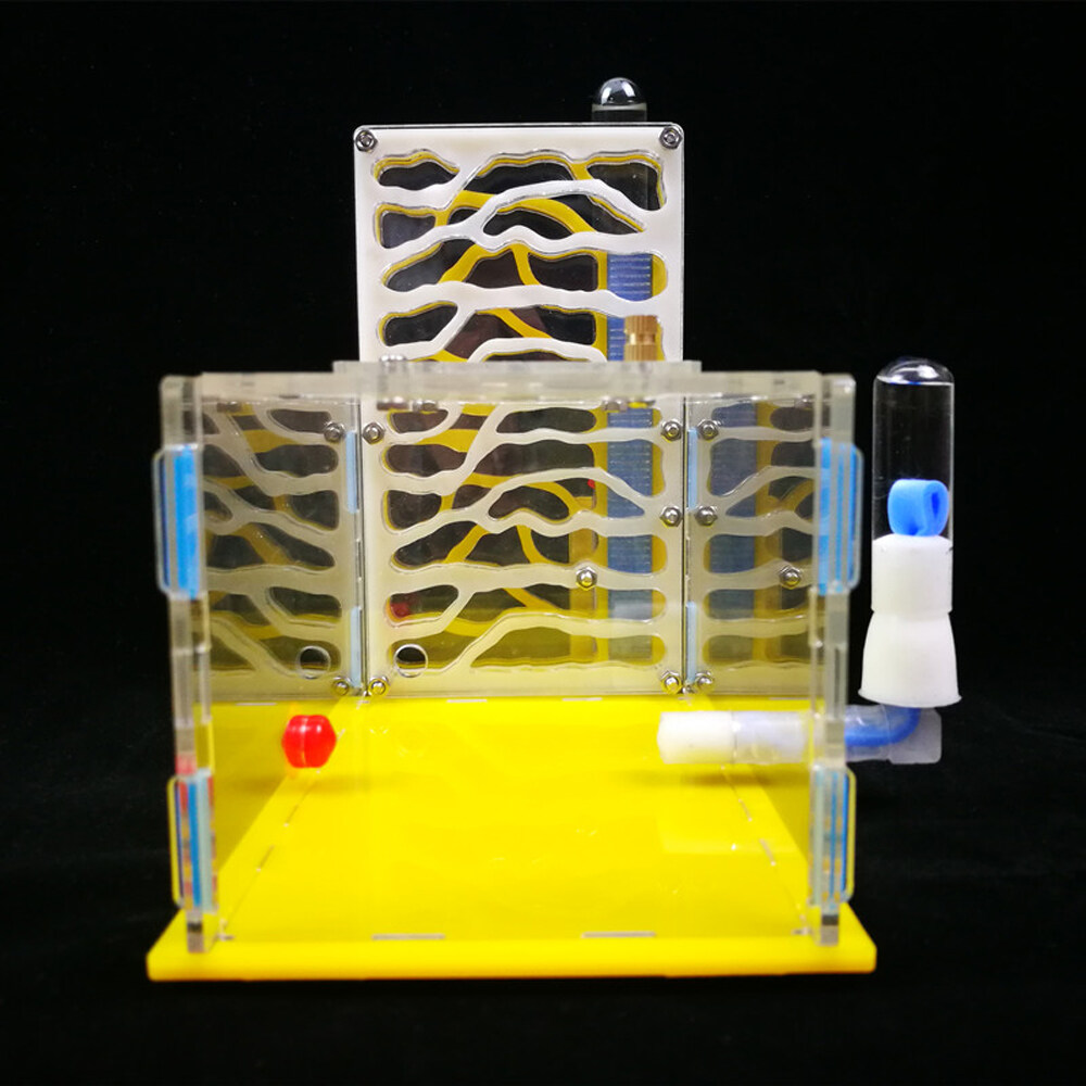 KKmoon DIY T-Design Feeding Area Acrylic Farm Insect Villa Pet Mania House Ant Nest Birthday Present Gift