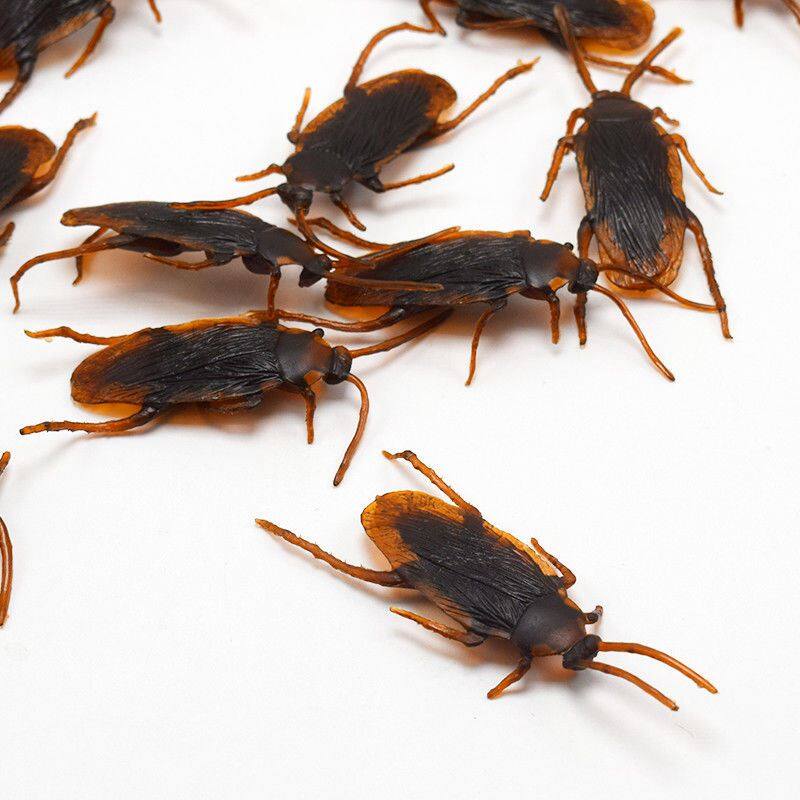 12 Pcs Halloween Simulated Plastic Cockroaches Deceptive Props Toy Trick Decor