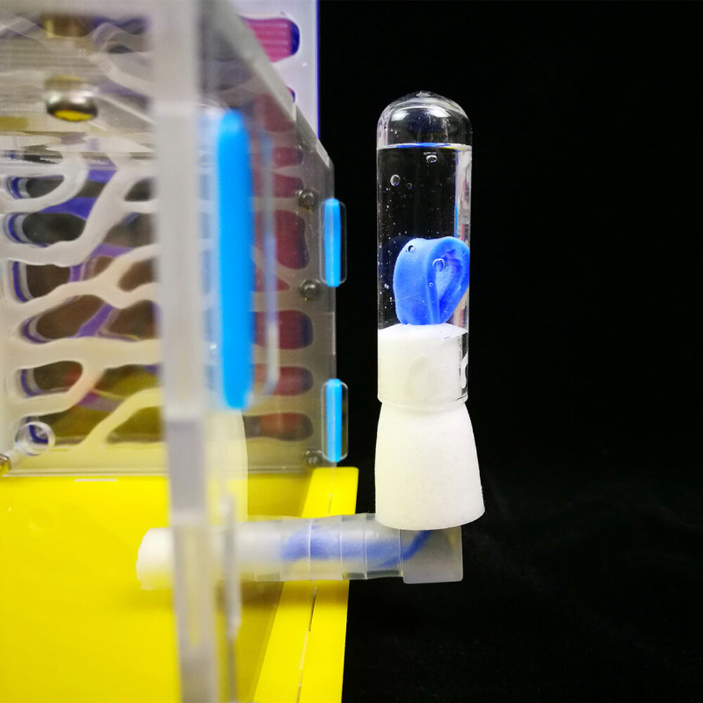 KKmoon DIY T-Design Feeding Area Acrylic Farm Insect Villa Pet Mania House Ant Nest Birthday Present Gift