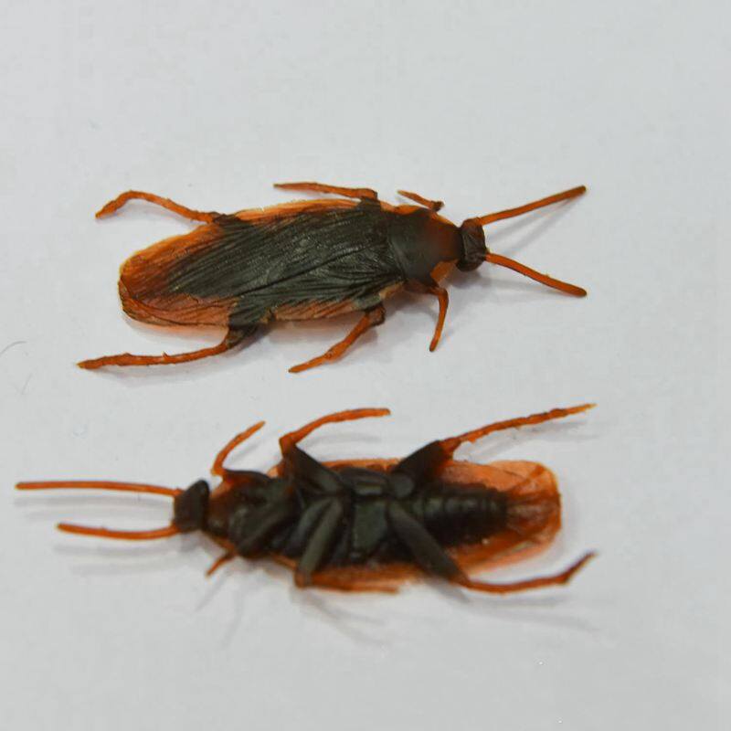 12 Pcs Halloween Simulated Plastic Cockroaches Deceptive Props Toy Trick Decor