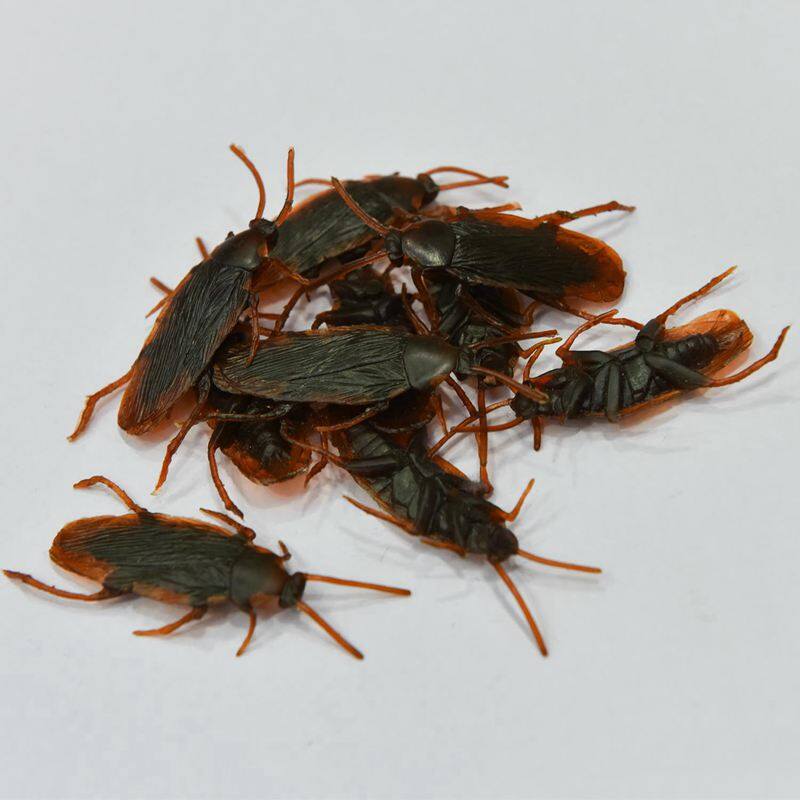 12 Pcs Halloween Simulated Plastic Cockroaches Deceptive Props Toy Trick Decor