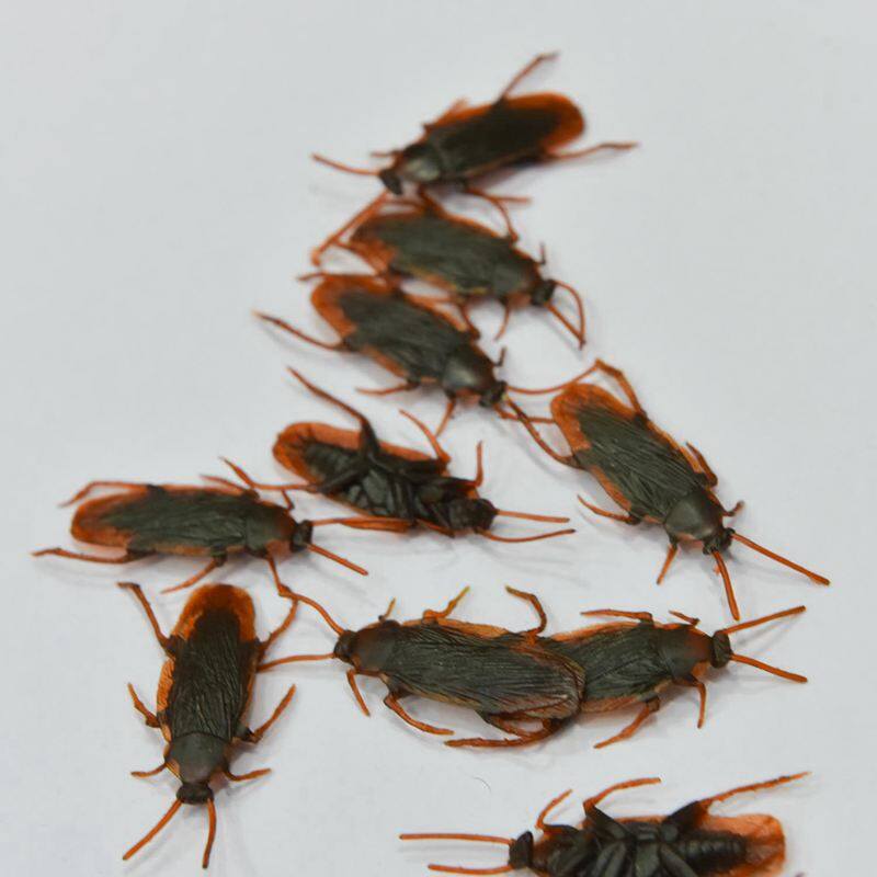 12 Pcs Halloween Simulated Plastic Cockroaches Deceptive Props Toy Trick Decor
