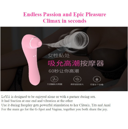 Aston Collection LeYi1 a sex toys with 8 Vibration 6 Suction a must have Vibrator for Women and couple
