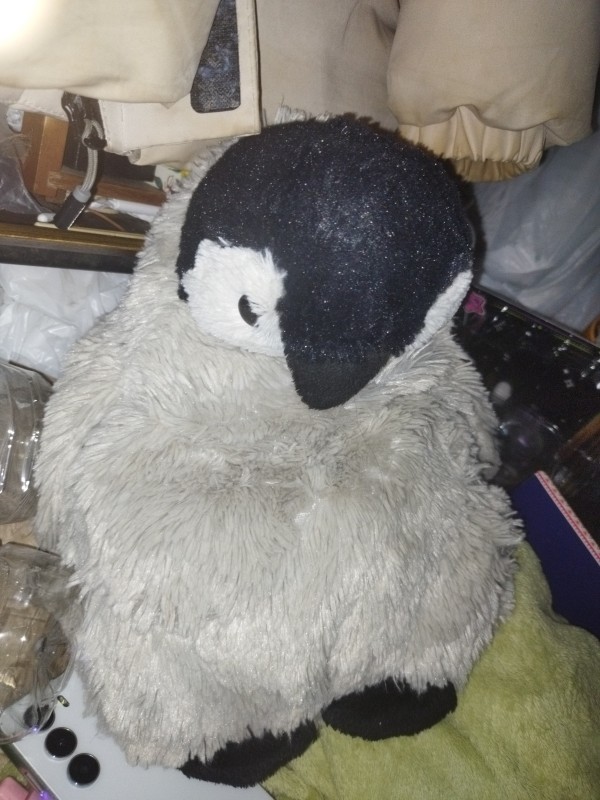 しずか&プルメリア