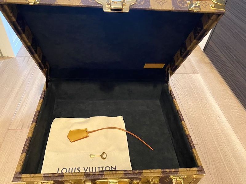 Louis Vuitton Nigo Cotteville 40 handbag briefcase Trunk Tiger brand new and rare-