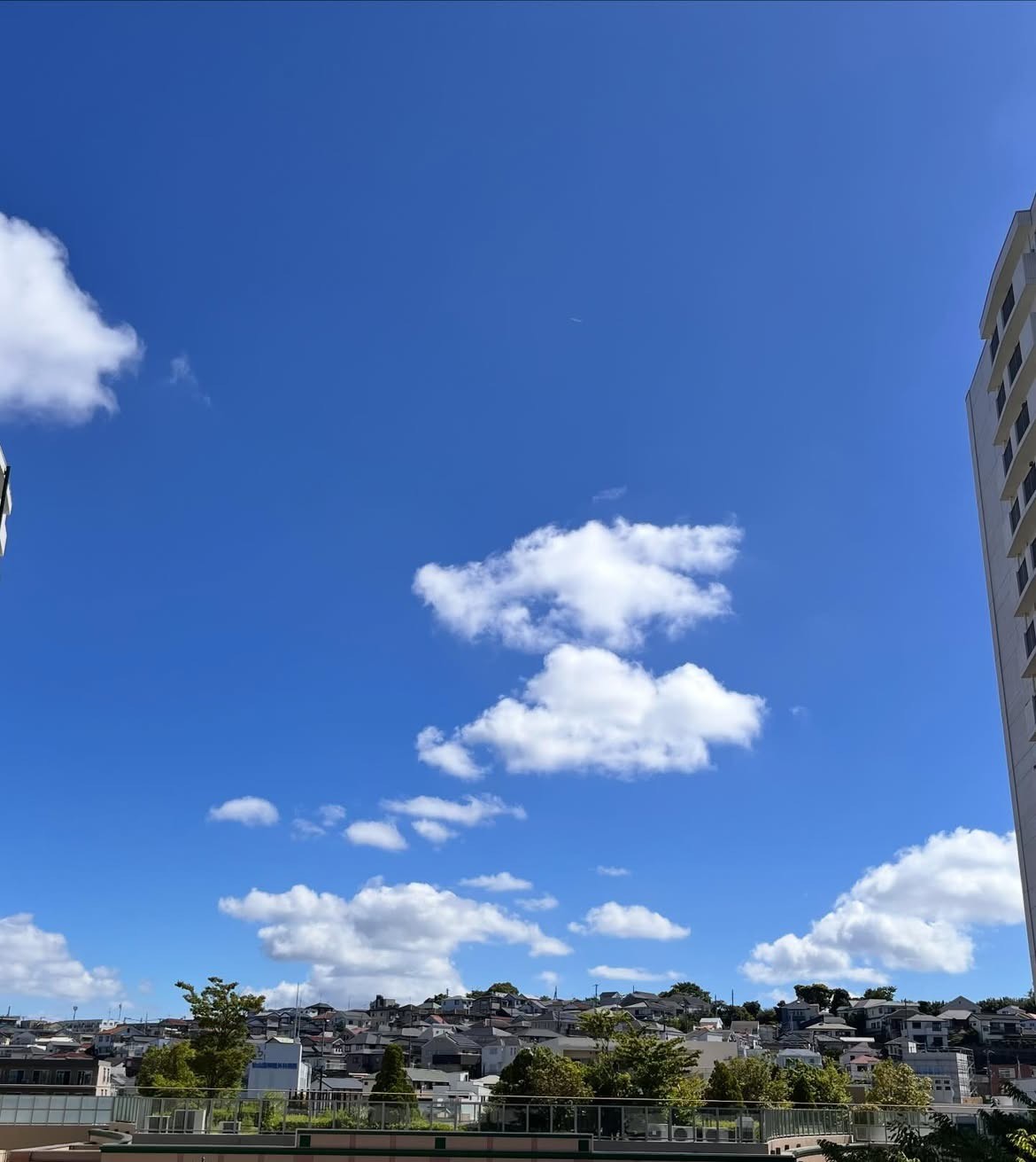 思い出の小さなwarehouse